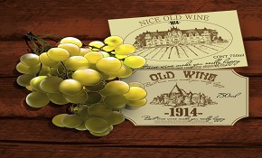 Green grapes and Wine trademark vec